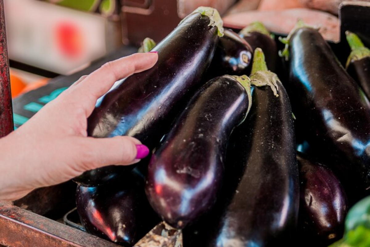 allergie aubergines